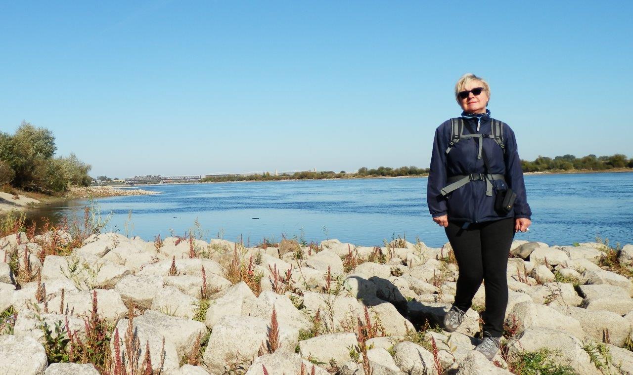 2015 10 08 - 12.08.48 - 019_crop